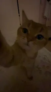 kydnxd